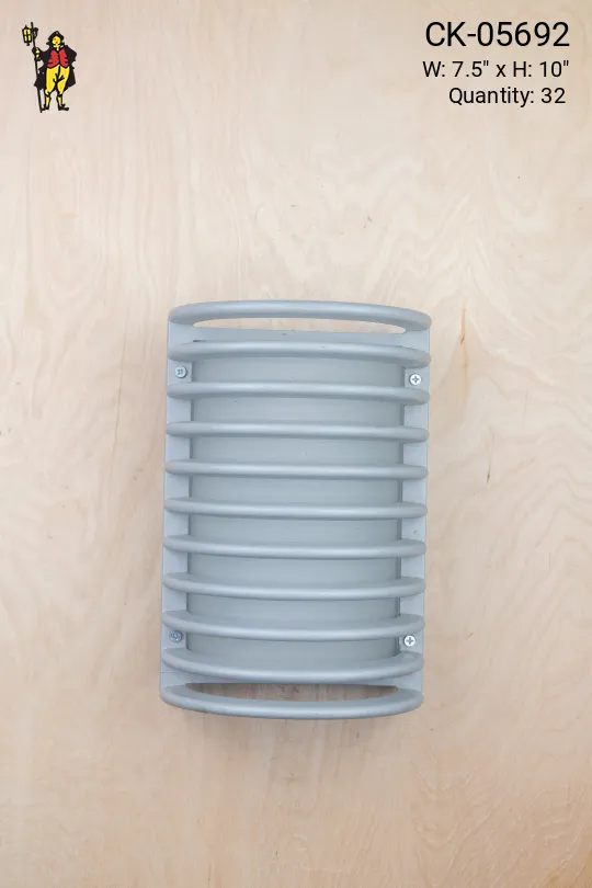 Metal Cage Light w/Frosted Glass Shade