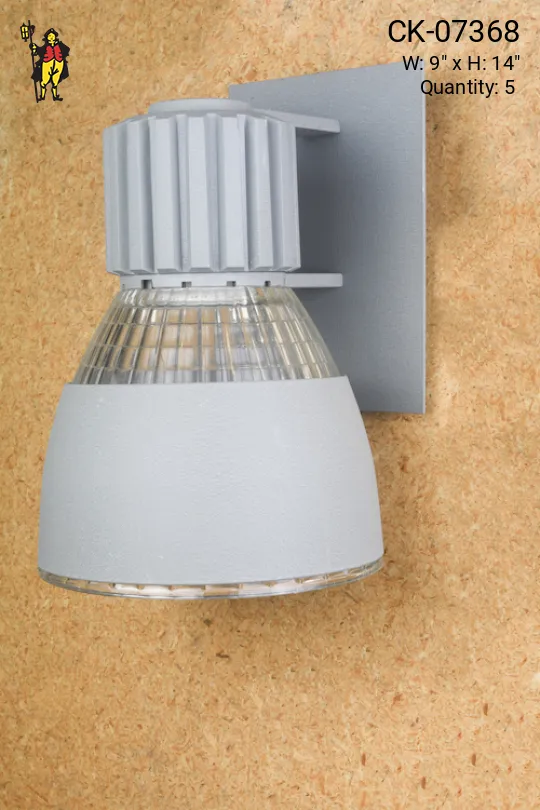 Gray Industrial Spot Light Wall Sconce