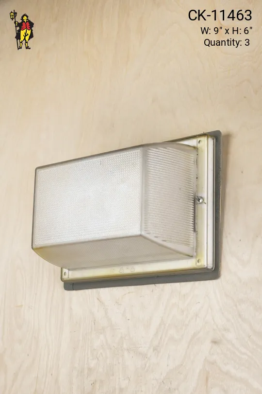 Industrial Wall Light