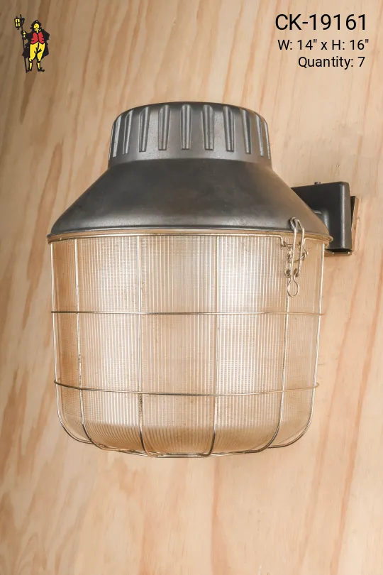 Exterior Caged Wall Sconce