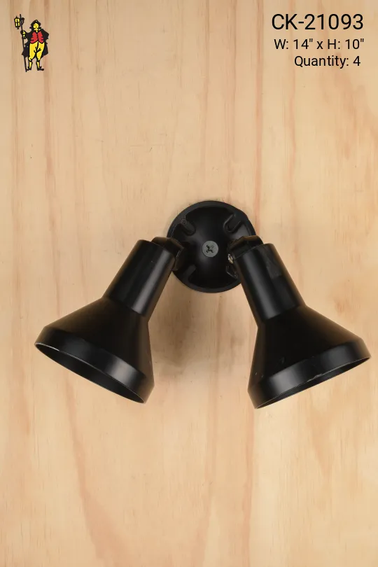 Black Directional Two Light Wall Sconce