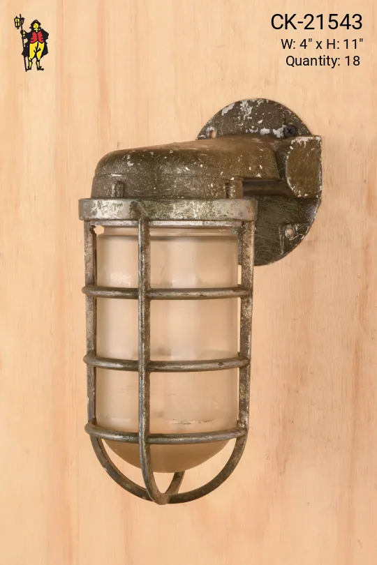 Wall Mounted Distressed Vapor Proof Cage Light